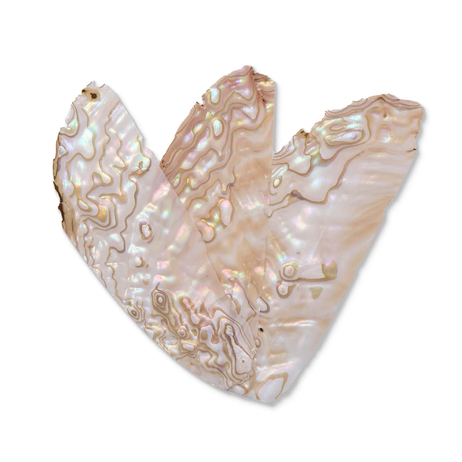 河贝彩色花纹片 110×40×0.2 mm 产品实拍