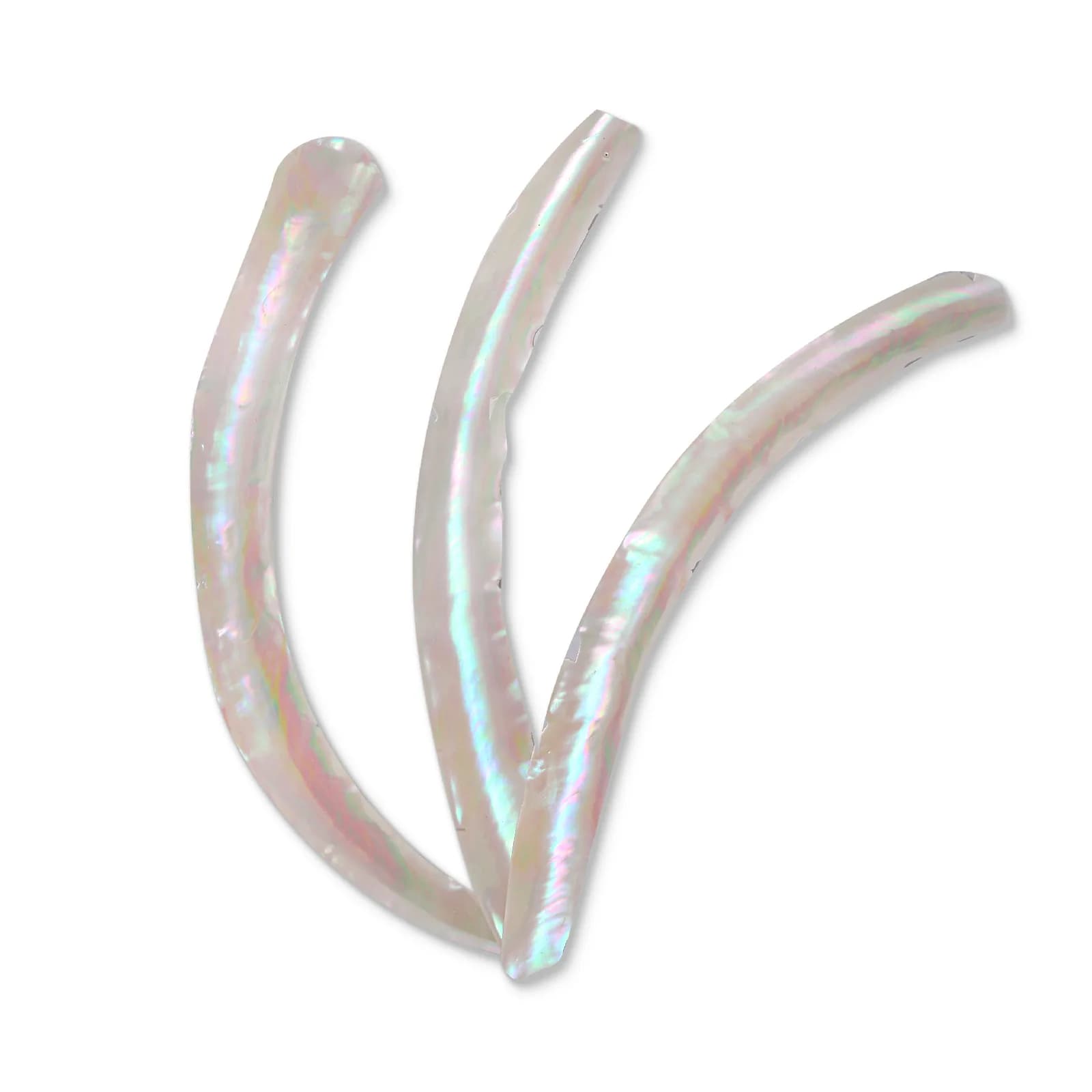 白底夜光蝾螺壳 270×30×0.2 mm 产品实拍